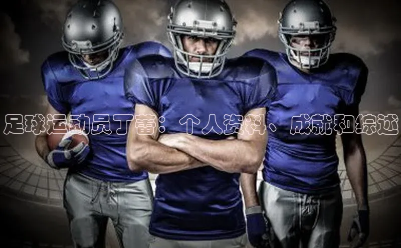 新长征app下载中海达足球运动员丁蕾：个人资料、成就和综述