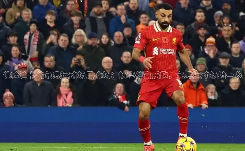 长征注册登录入口百度网盘企业版体验迪卡侬免费运动场足球场：畅享体育乐趣，免费运动场地一览