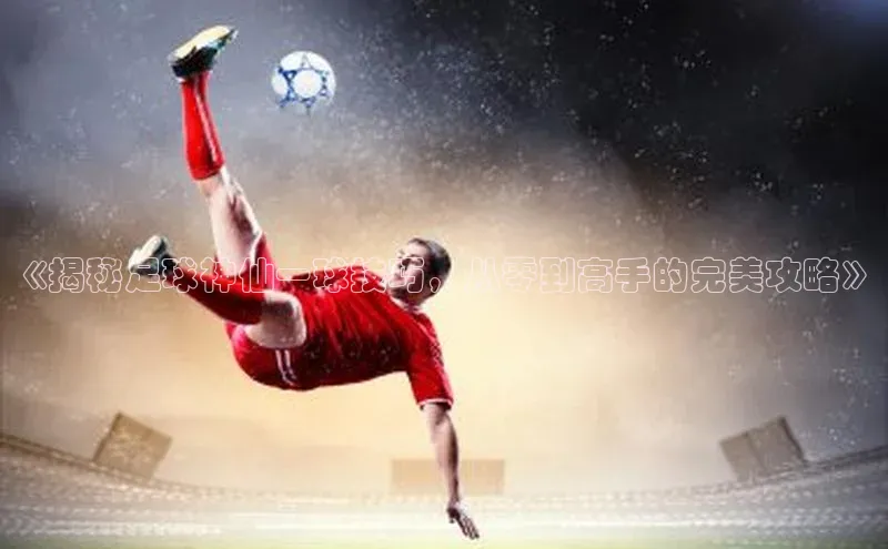 长征官网入口金山办公《揭秘足球神仙一球技巧，从零到高手的完美攻略》
