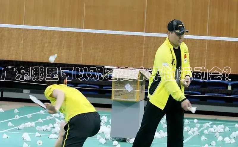 长征平台登录百度翻译广东哪里可以观看高水平的运动会？