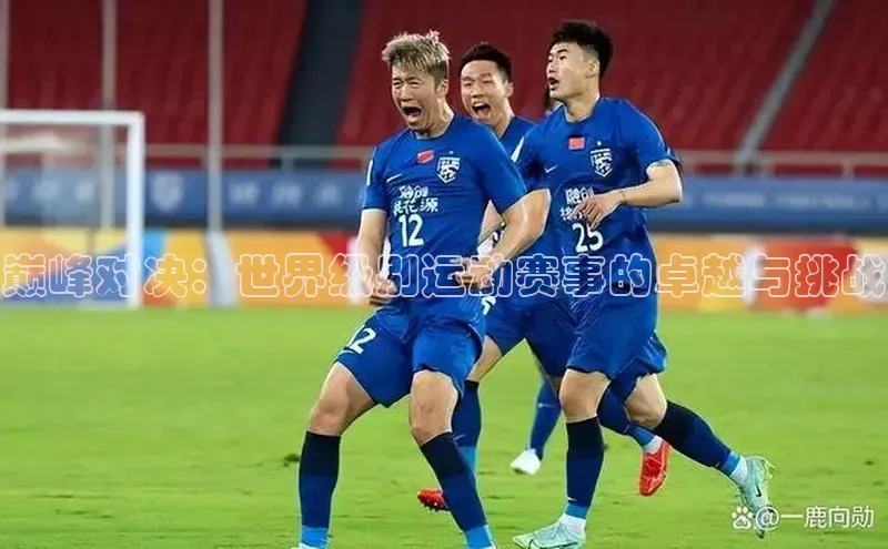 巅峰对决：世界级别运动赛事的卓越与挑战