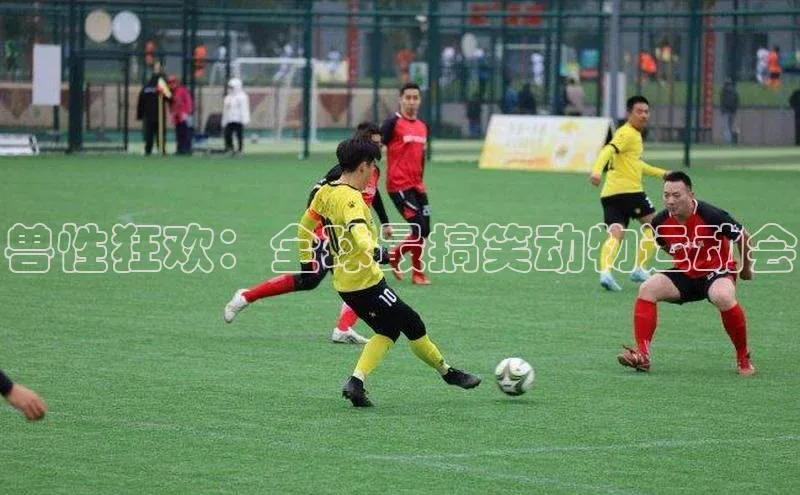 兽性狂欢：全球最搞笑动物运动会