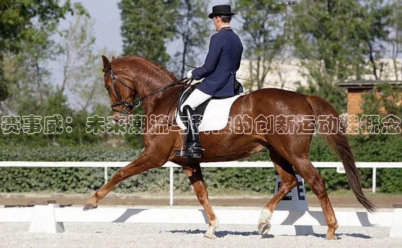 赛事威：未来潮流与科技的创新运动鞋概念