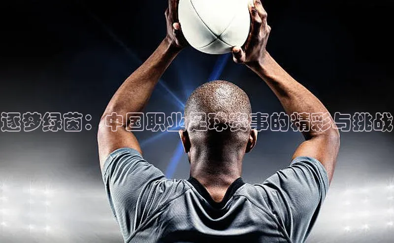 逐梦绿茵：中国职业足球赛事的精彩与挑战