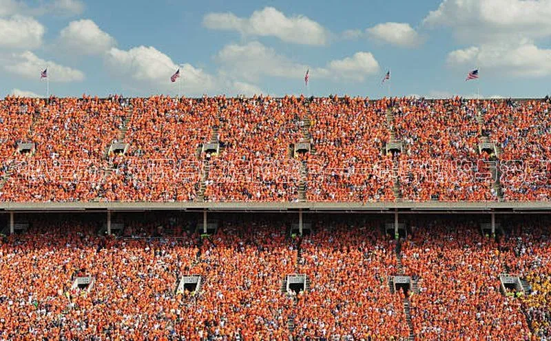 车队运动：极限与速度的盛宴——赛事概览与深度