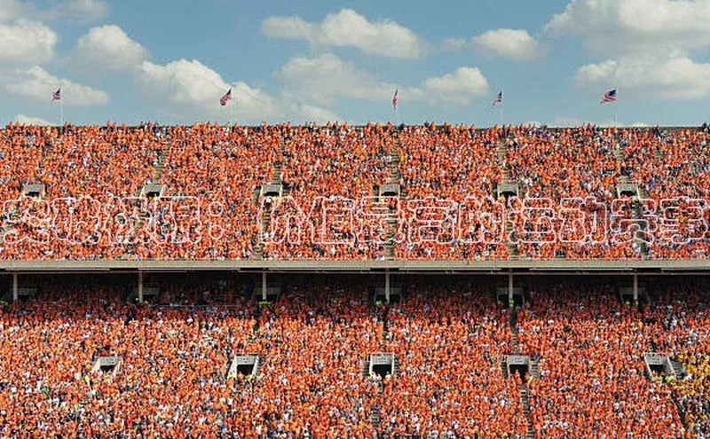 突破极限：价值最高的运动赛事