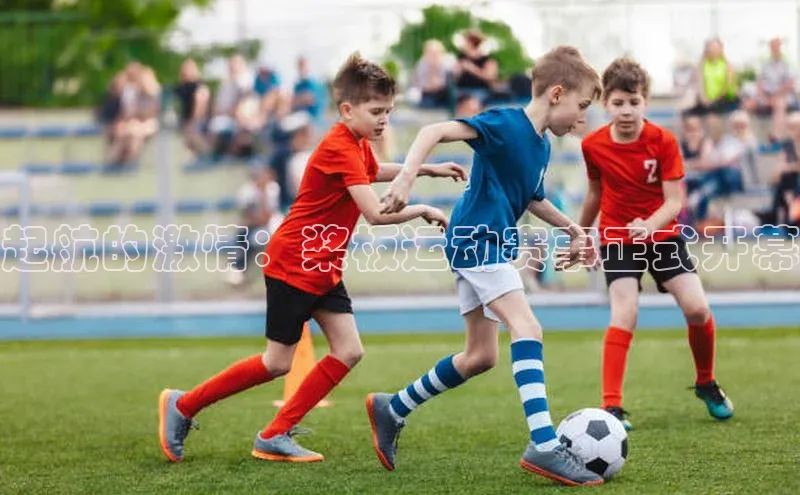 起航的激情：桨板运动赛事正式开幕