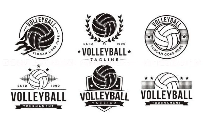 亚运赛场上的卓越风采：金牌背后的故事——来自运动员的自述