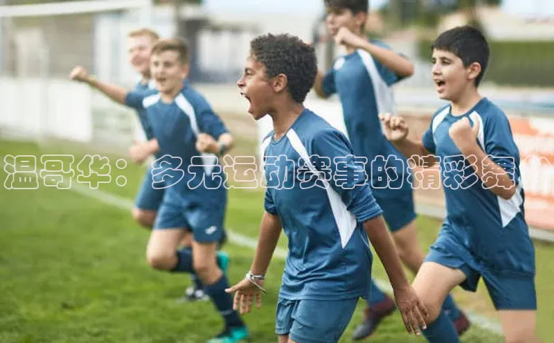 温哥华：多元运动赛事的精彩舞台