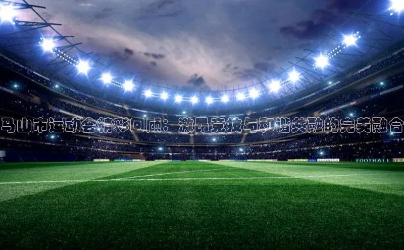 马山市运动会精彩回顾：激昂竞技与和谐共融的完美融合