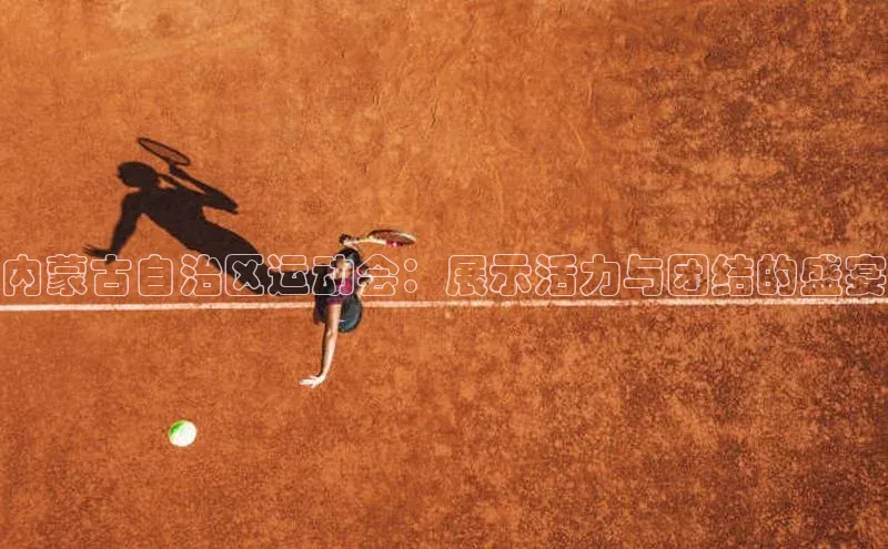内蒙古自治区运动会：展示活力与团结的盛宴