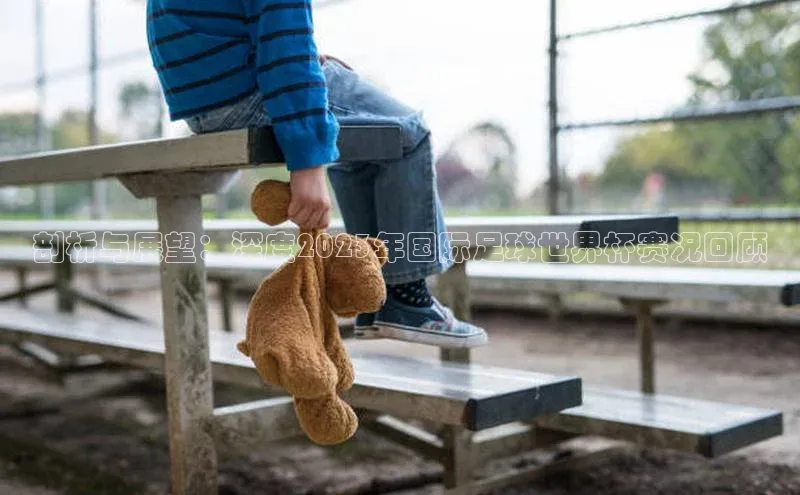 剖析与展望：深度2023年国际足球世界杯赛况回顾