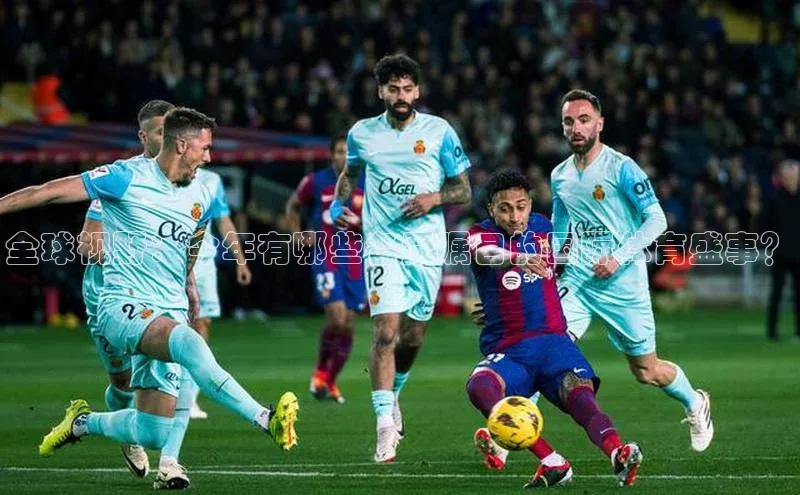 全球视野：今年有哪些备受瞩目的国际体育盛事？