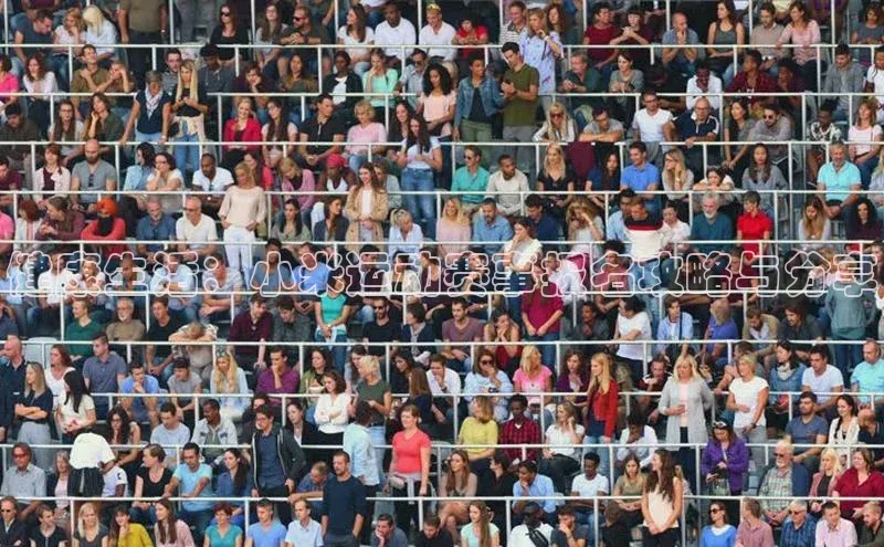 健康生活：小米运动赛事报名攻略与分享