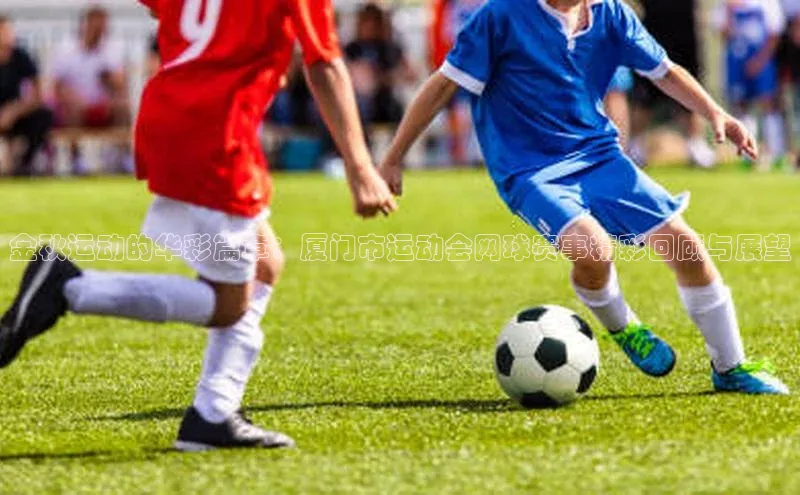 金秋运动的华彩篇章：厦门市运动会网球赛事精彩回顾与展望