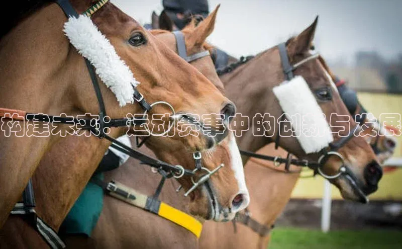 构建未来：运动赛事中的创新与发展