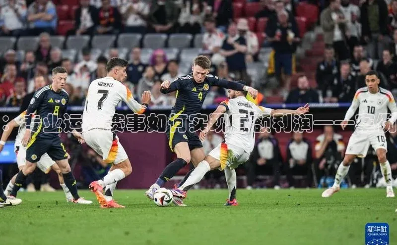 ：专业运动赛事如何实现巨额利润——案例