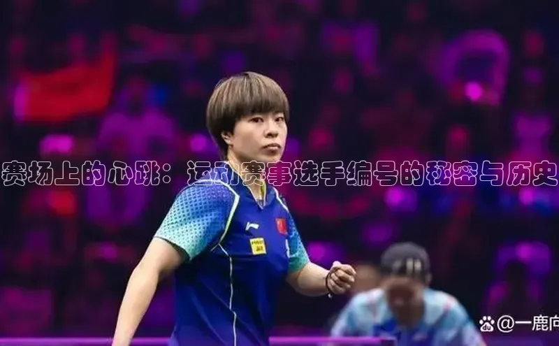 赛场上的心跳：运动赛事选手编号的秘密与历史